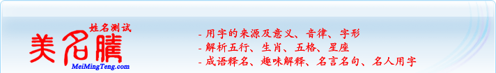 用字的來源及意義、音律、字形；五行、生肖、五格、星座；成語釋名、趣味解釋、名言名句、名人用字