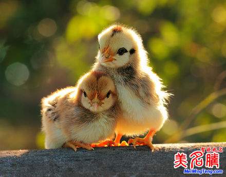 杭州新生兒最熱名字排行榜首次權(quán)威公開，起名漸趨中性化：宇軒、梓涵、梓睿、詩(shī)涵最多