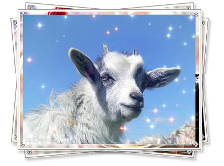 2015  羊?qū)殞毱鹈簩傺驗(yàn)槭裁磸牧⒋核闫穑? /></a>2015羊?qū)殞毱鹈簩傺驗(yàn)槭裁磸牧⒋核闫穑?源自美名騰智能起名網(wǎng)
問(wèn)：2015年屬什么生肖? 2015年是什么年?
答：2015年生肖屬羊。2015年是農(nóng)歷乙未年（羊年）。
問(wèn)：2015年立春是...</div>
							        <div style="height:5px; font-size:5px"></div>
							        <hr width="99%" style="text-align:center; border-style:dotted; border-width:0px; height:1px;" />
							        <div style="height:5px; font-size:5px"></div>
							    </div>
						        </td>
	</tr><tr style="border-width:0px;">
		<td valign="top">
						        <div style="padding-left:3px; padding-right:3px;line-height:180%">
							         <h3 style="padding:0px;margin:0px;display:inline;"><a id="ctl00_ContentPlaceHolder1_ShowMore1_dgNews_ctl12_HyperLink1" class="headline" href="/Message/ShowNews.aspx?NewsID=3502" target="_blank">2015羊?qū)殞毱鹈麑?zhuān)題：給羊?qū)殞毱饌€(gè)吉祥的好名字</a></h3>
							         <span id="ctl00_ContentPlaceHolder1_ShowMore1_dgNews_ctl12_Label1" style="color:Green;font-size:10pt;">2014/11/28 14:58:35</span>
							          <span style="color:Red;font-size:8pt;"></span>
							        <br />
							        <div style="padding-top:1px; width:95%; padding-left:8px; line-height:180%;color:#2f2f2f;font-size:14px;" ><a href=