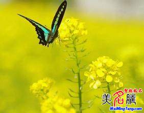 怎樣給自己起網(wǎng)名？